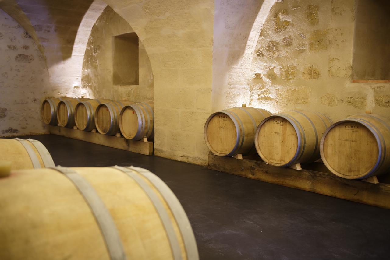 Chambres D'Hotes De Chateau Renon Tabanac Zewnętrze zdjęcie